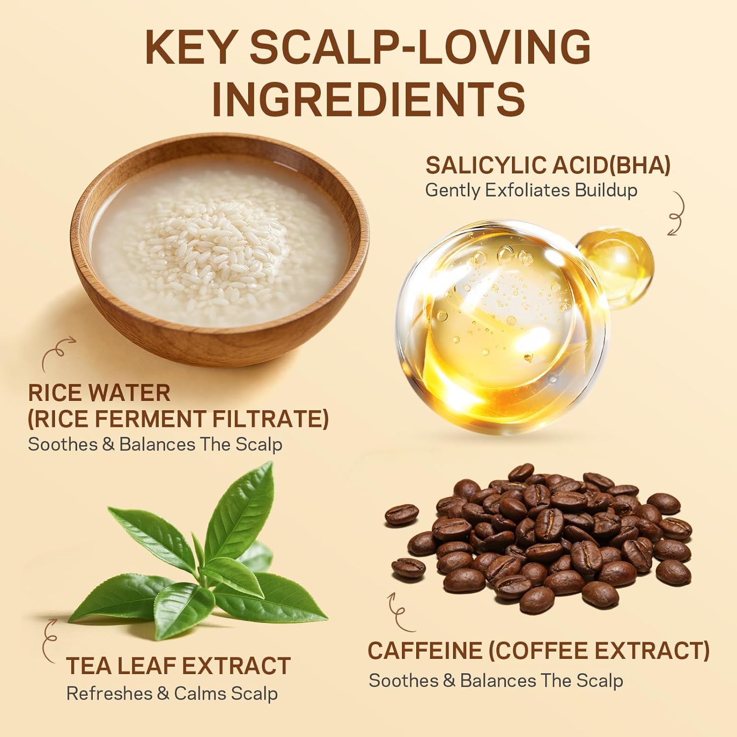 Rice Water Scalp Scrub with Salicylic Acid(BHA), Tea Tree & Rosemary – Gentle Exfoliating Scalp Scrub Shampoo for Dandruff, Removes Buildup, Controls Oil & Refreshes the Scalp,250g
