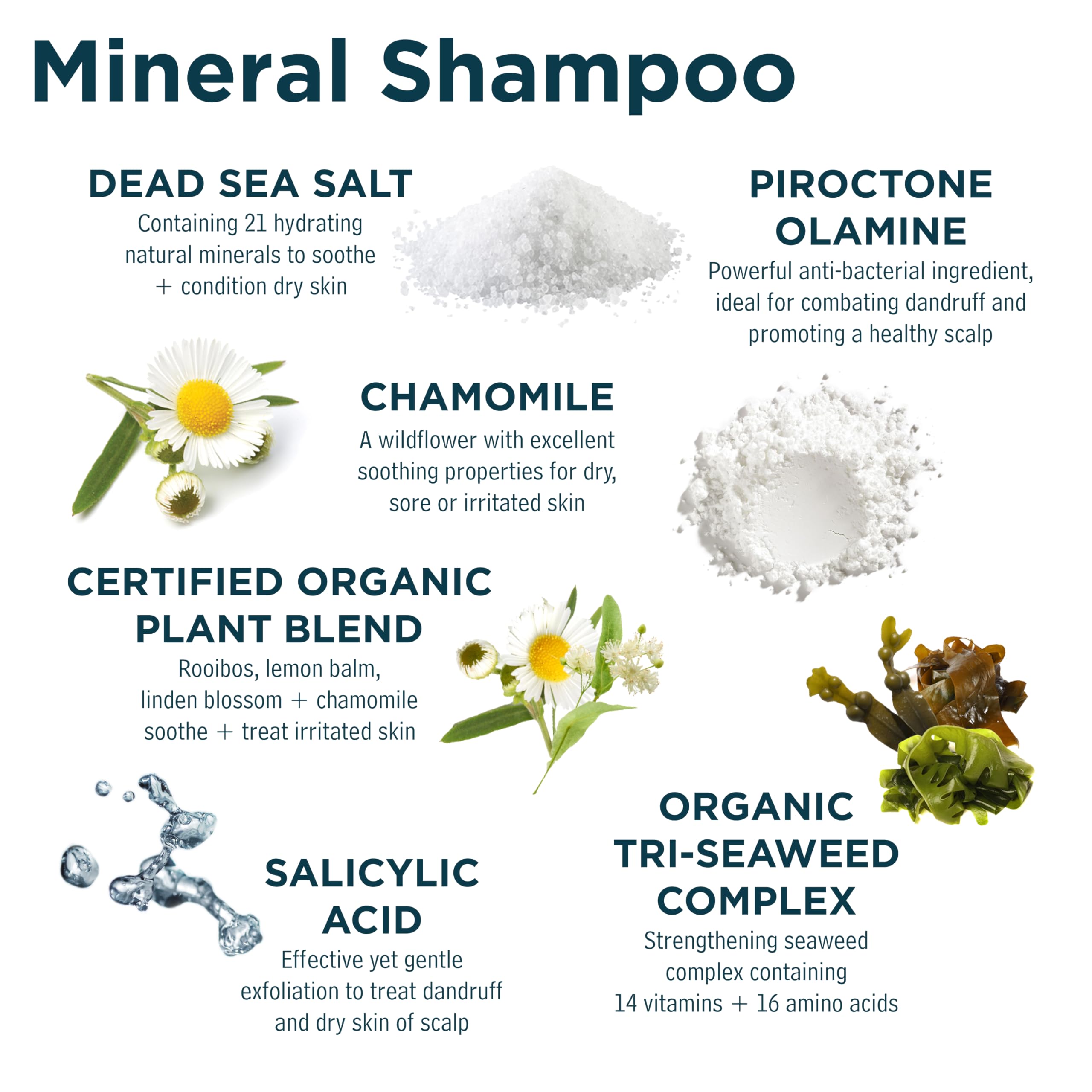 Sea Magik - Salicylic Acid Shampoo for Psoriasis & Itchy Scalp Relief, Soothing Antibacterial Seaweed Treatment for Medicated Conditions Like Folliculitis, Eczema & Scalp Acne, Cruelty-Free (300ml)