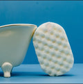 Dove soap sponge