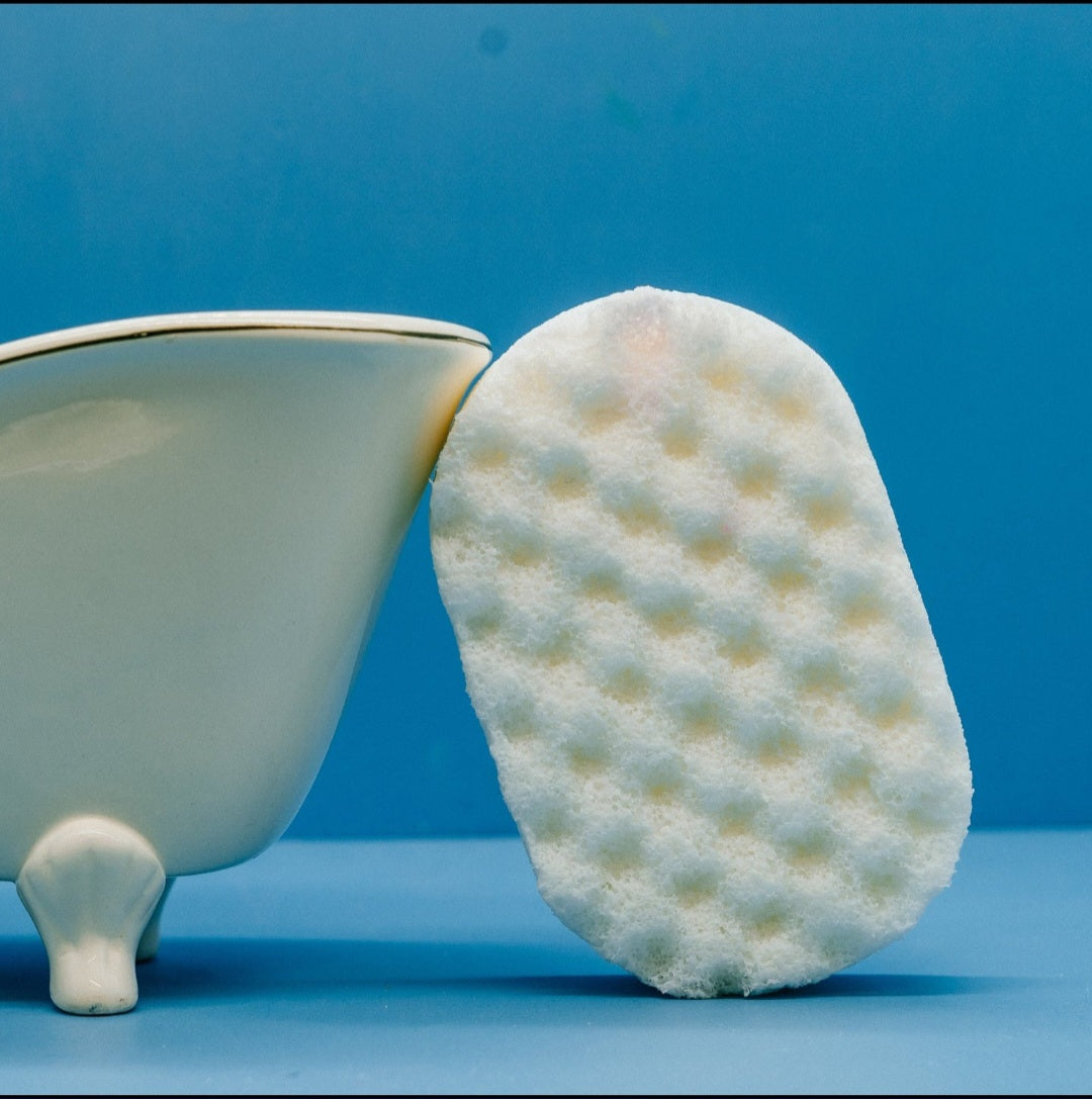Dove soap sponge
